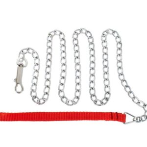 BDSM Obedience Chain Lead