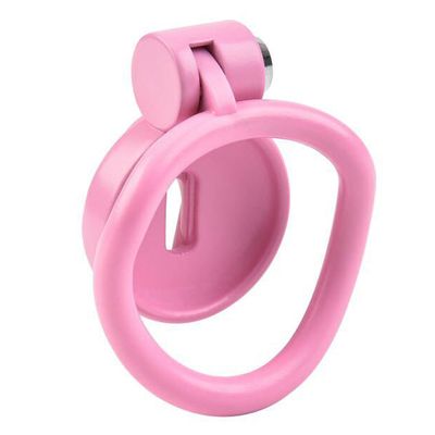 Pussification Vulva Chastity Cage - Image 5