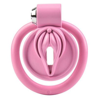 Pussification Vulva Chastity Cage - Image 3