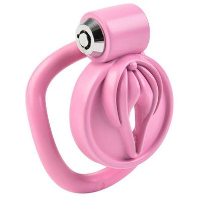 Pussification Vulva Chastity Cage - Image 2